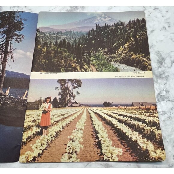 Pacific Pathways Pictorial Magazine Of The West May 1946 America Travel - Picture 5 of 11